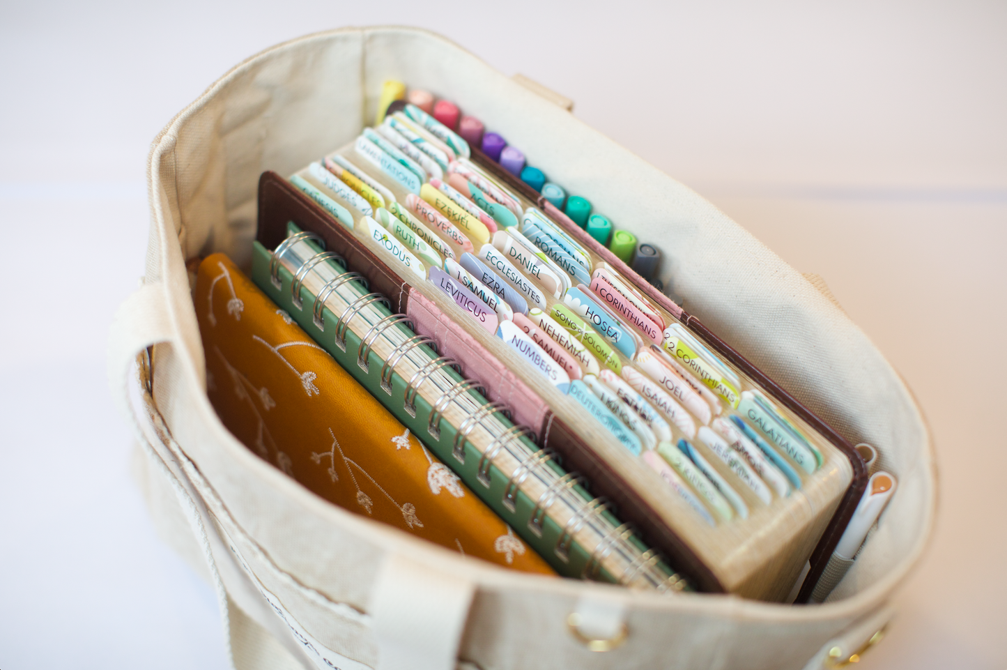 Oat Planner/Journaling Caddy Tote